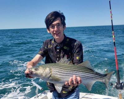 Charter Fishing Cape Cod Bay